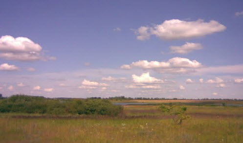 Вид с трассы А142,