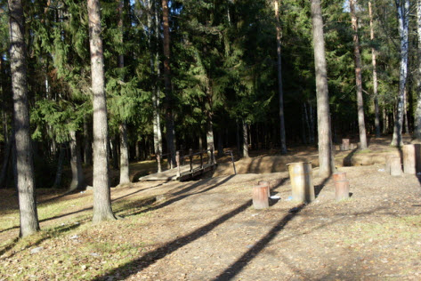 Одна из беседок в лесопарке, Токсово, трасса Р33