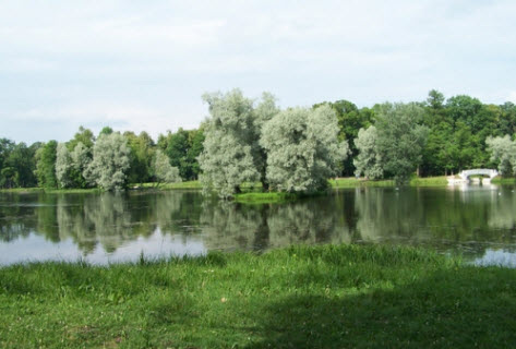 Озеро и вид на мост водного лабиринта, Гатчина