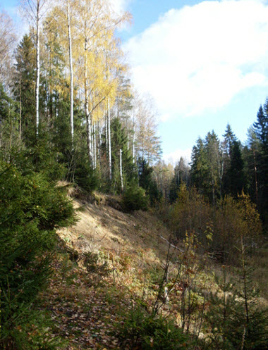 Токсовский лесопарк, трасса Р33