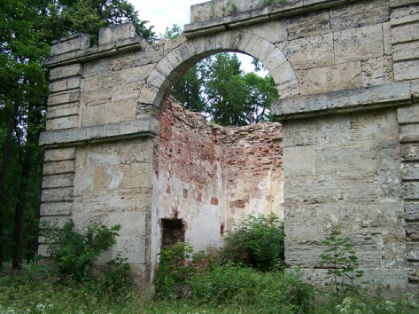 Часть лесной оранжереи, Гатчина, трасса М20