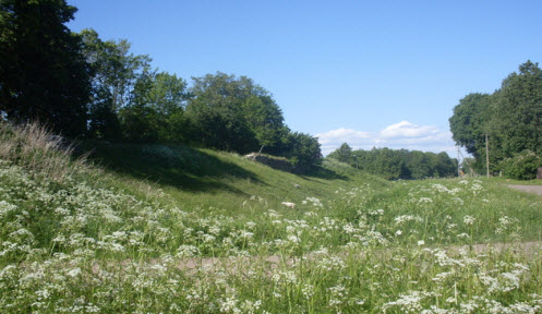 Останки гдовской крепости, трасса Р60