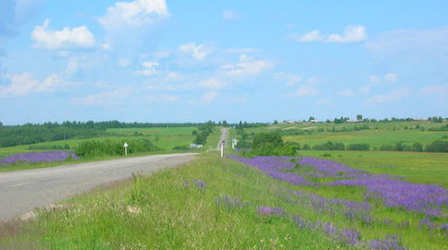 Трасса Р98, дорога Р98
