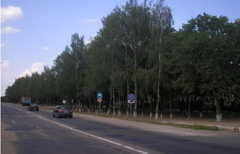 Дорога Р113, трасса Р113, рогачевское шоссе Дорога Р113, трасса Р113, рогачевское шоссе