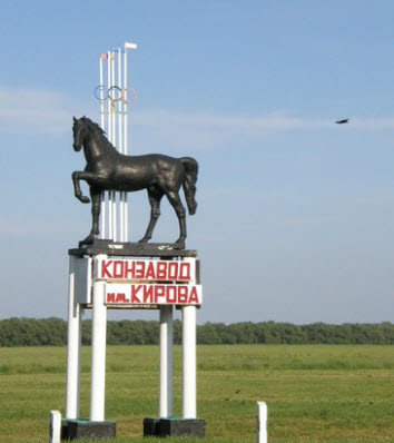 трасса р270, указатель конзавод, конь трасса р270, указатель конзавод, конь