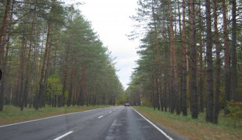 дорога к партизанской поляне