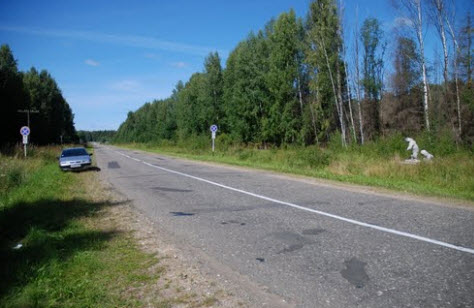 Трасса Р104, Пачеболка, медведи