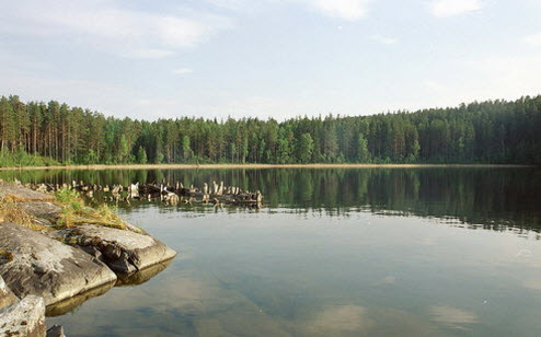 вид с трассы Р17