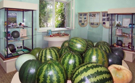 музей арбуза камызяк трасса р214