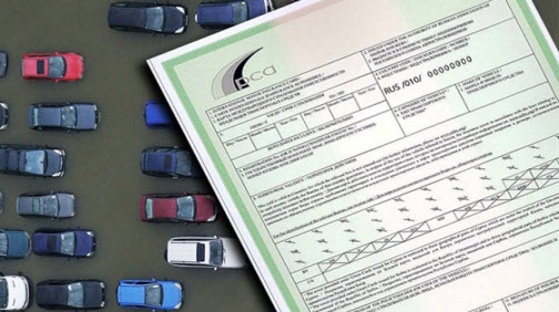 полис зеленая карта, green card
