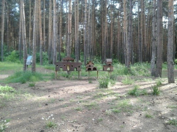 Пермь лес