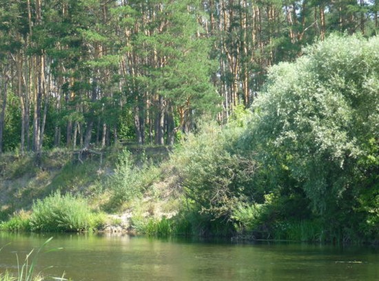 чистая река ворона