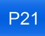 знак р21