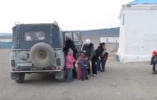 монгольский бобик