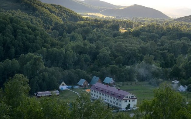лесная сказка сверху