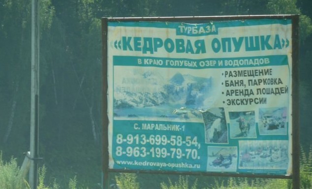 турбаза кедровая опушка