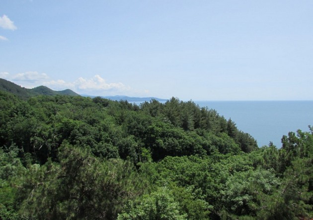 черное море из отеля