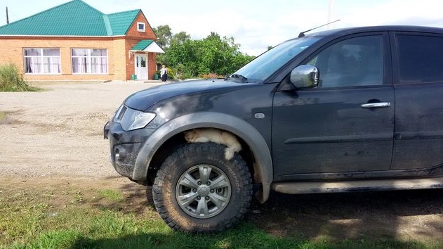 кот примостился на колесо