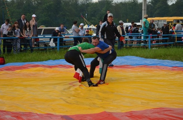 борьба куреш