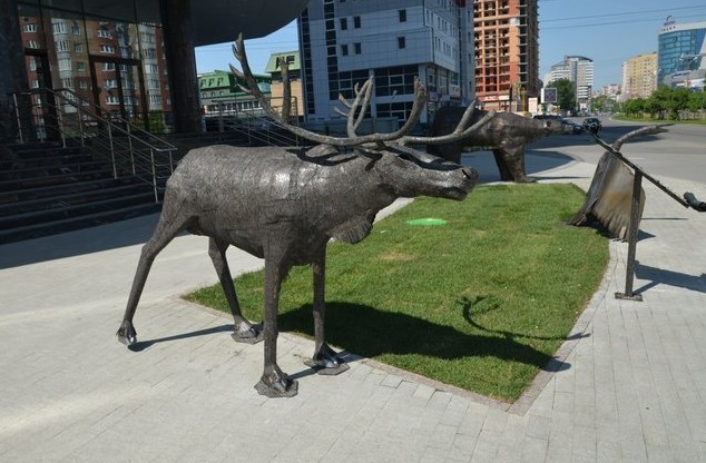 лось в тобольске