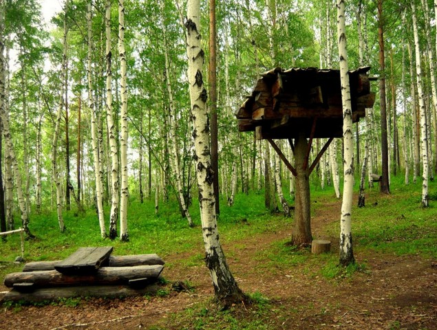 музей под открытым небом тальцы