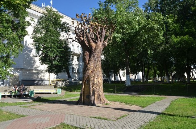 дерево желаний киров
