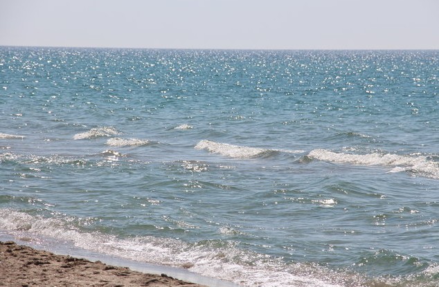 отчет о поездке в крым черное море
