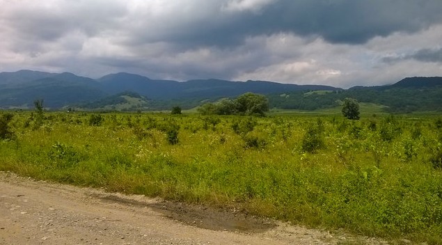 поездка в адыгею проселочная дорога