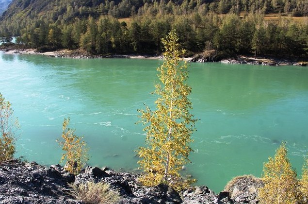 катунь бирюзовая вода