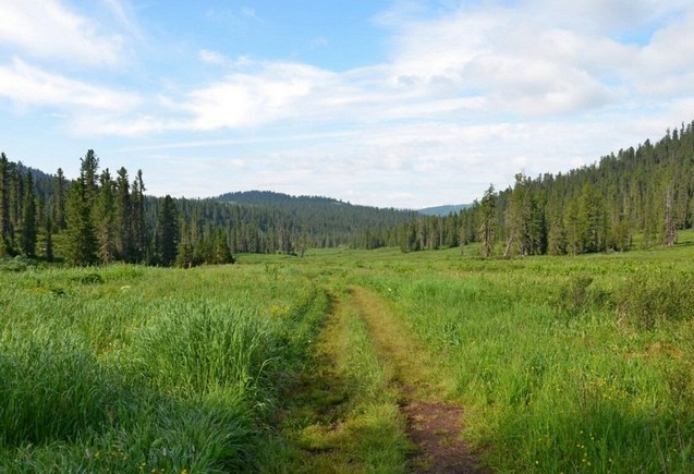 дорожка в ергаки