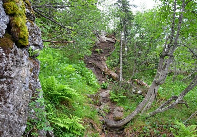 ергаки горная тропа