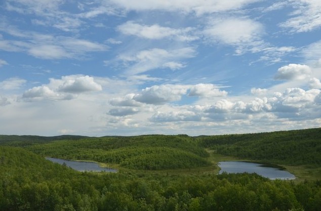 природа заполярья