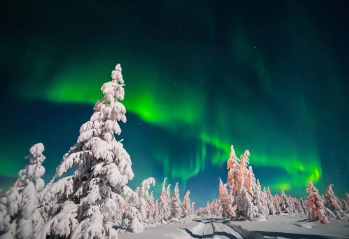 Куда поехать на Новый год в 2019 году? 5 удивительных мест