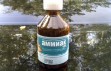 Нашатырный спирт в машине