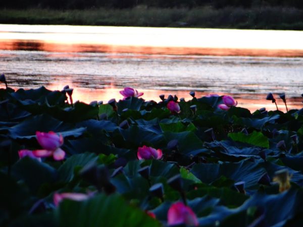 40 самых красивых мест в мире