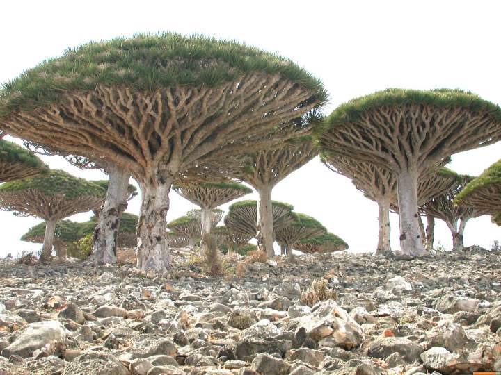 40 самых красивых мест в мире