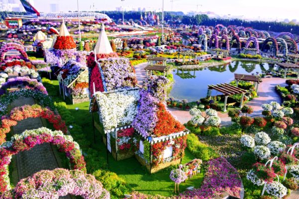 Miracle Garden