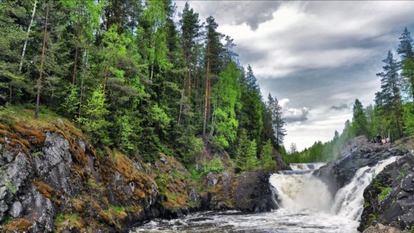 Кивач