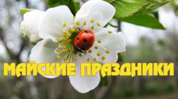Погода на майские праздники 2019 в Москве