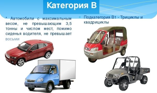 kategorija b