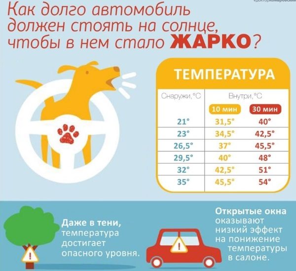 Как быстро нагревается воздух в салоне автомобиля в жару?