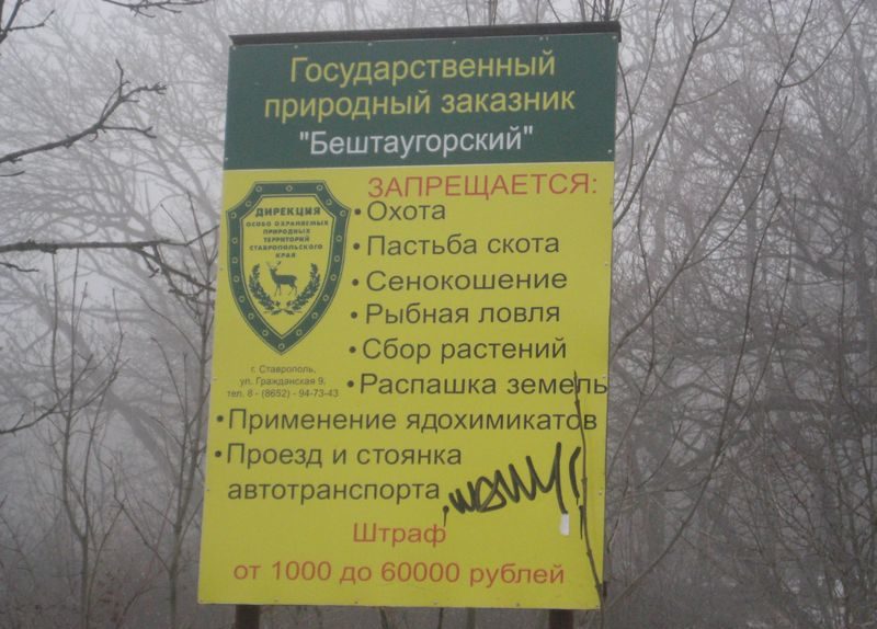 Как правильно парковаться в лесу без штрафа