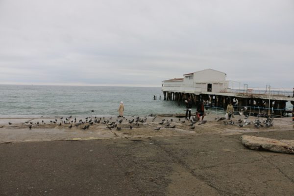 Погода в Алуште в ноябре 2019