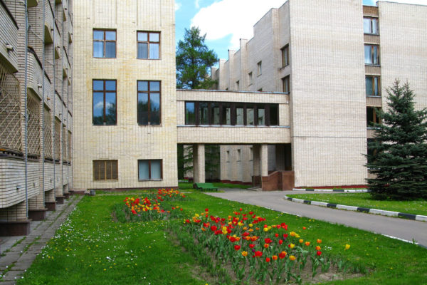 Новый год 2020 в Подмосковье недорого с детьми