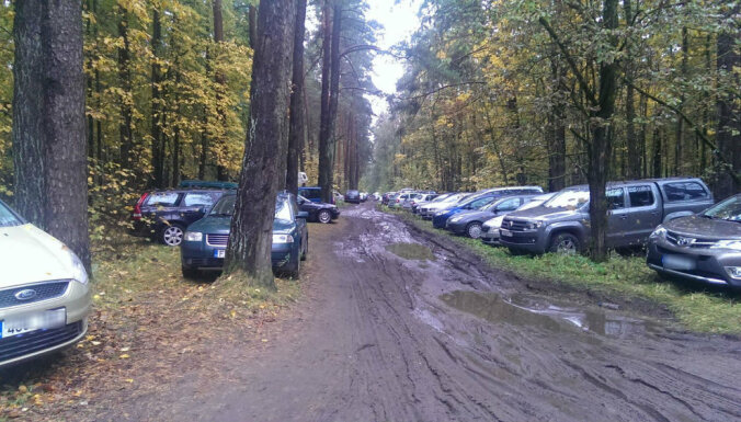 Могут ли оштрафовать за парковку в лесу