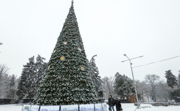 Какая будет зима 2019-2020 года в Ростове-на-Дону