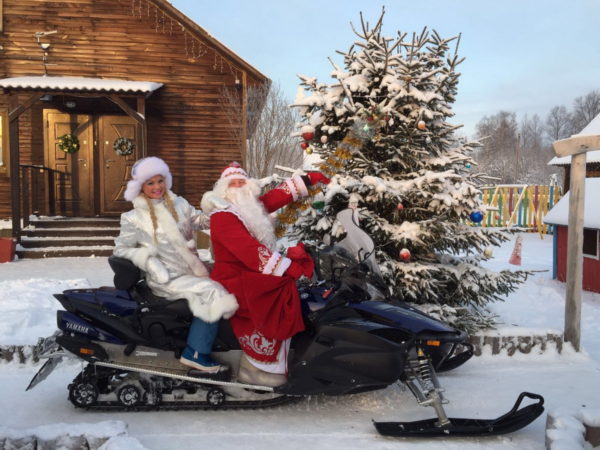 Идеальный вариант для новогоднего отдыха: поездка в питомники Подмосковья