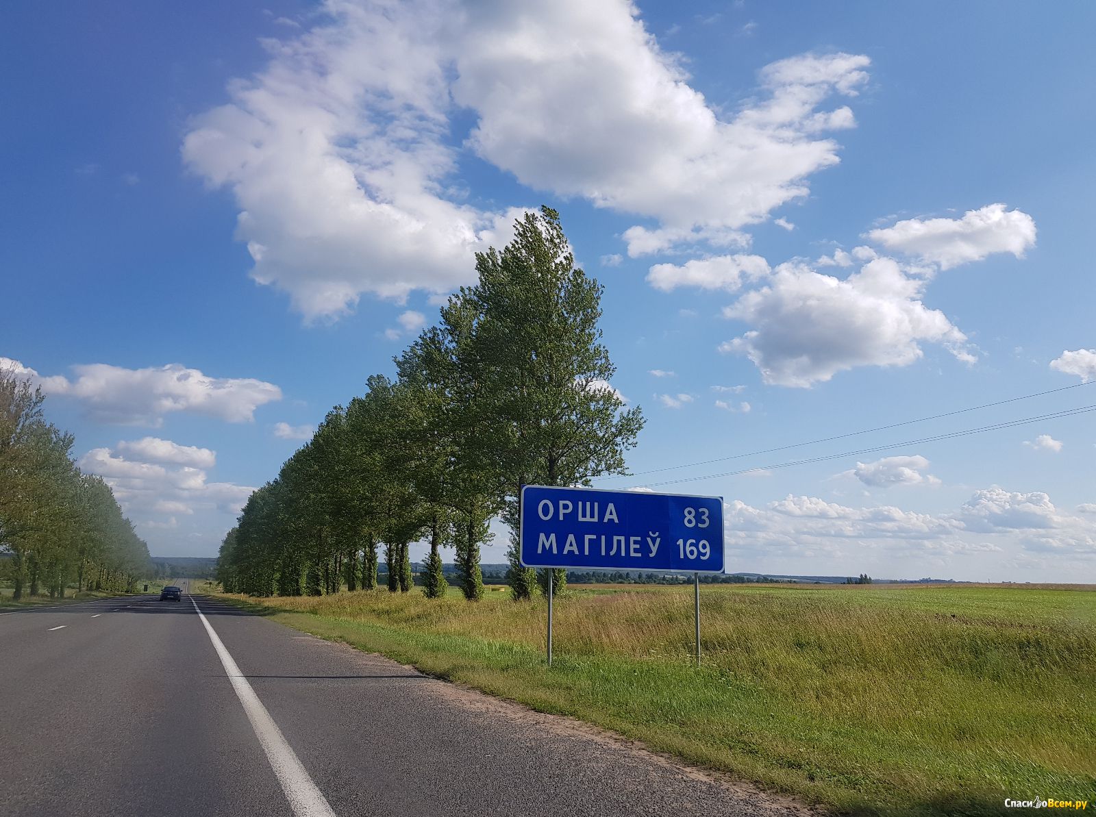 трасса Е95 Белларусь